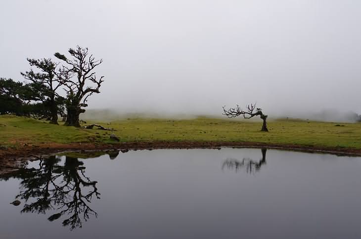 Wanderung am Fuße des Berg Fanals vorbei an Lorbeerbäumen hin zu Madeiras letztem Kratersee.