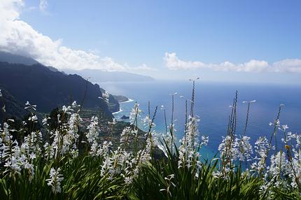 Madeira