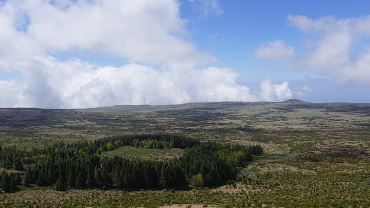 Kurze Levadawanderung zum Pico Ruivo do Paúl