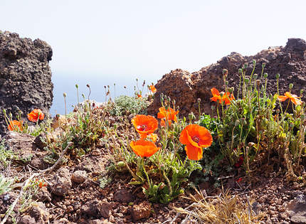 Wanderung auf der Halbinsel de Sao Lourenco