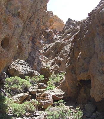 Wanderung um den Finger Gottes, nahe dem Vulkan Teide