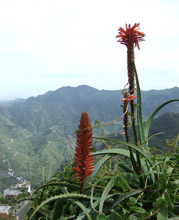 Wanderung um den Roque de Taborno