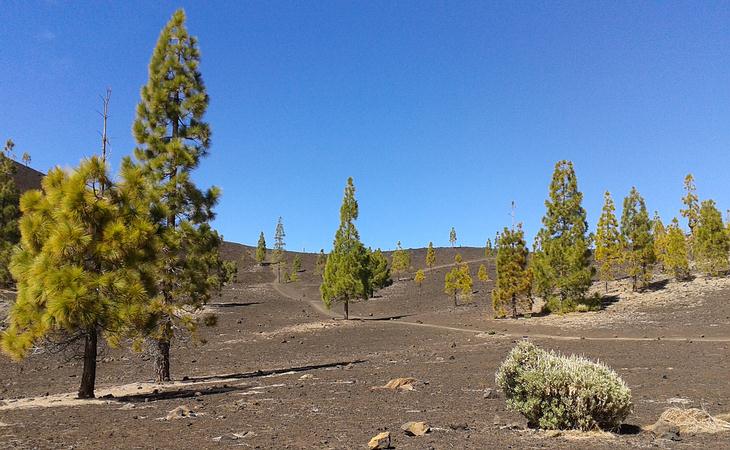 Anfahrt zum Teide