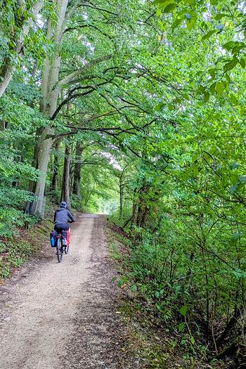 Radweg durch den Wald entlang der Altm�hl