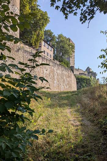 Burg Pappenheim 