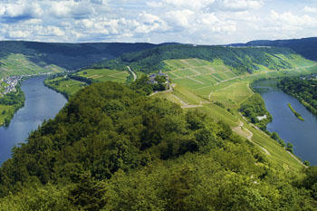 Moselschleife bei Zell / Urlaubsbild 25719362