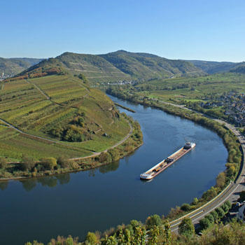 Moselschleife bei Bremm an der Mosel / Urlaubsbild 36103871