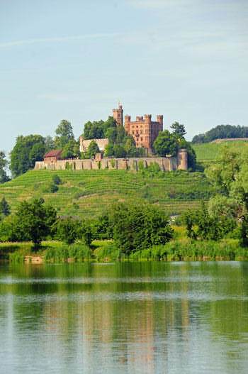 Ortenberger Schloss in der Oberrheinischen Tiefebene / Urlaubsbild 42483545