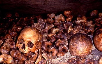 Catacombs of Paris