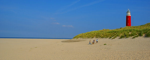 Texel