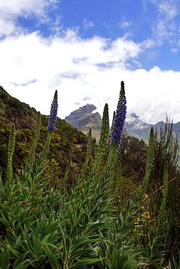 Levadawanderung am Encumeadapass