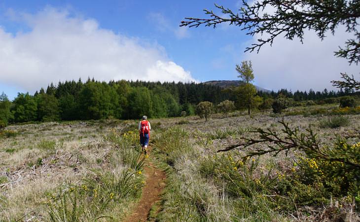 Kurze Levadawanderung zum Pico Ruivo do Pa&uacute;l