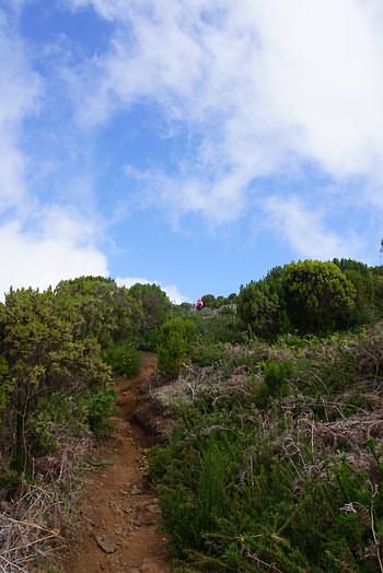 Kurze Levadawanderung zum Pico Ruivo do Pa&uacute;l