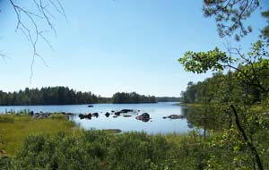 Wald und Wasser in Schweden