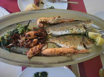 frischer Fisch frischer Fisch