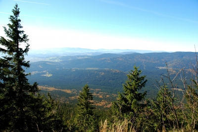 Bayrischer Wald: Blick vom Gro�en Falkenstein (1312m) 