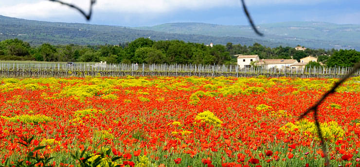 Impressionen der Provence