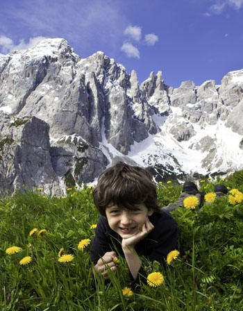 Bergwiesen  / Bild 23875508