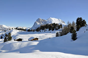 Seiser Alm  / Bild 28851917