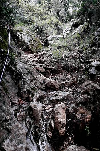 Ein steller Abstieg in die Gorges d´Oppedette