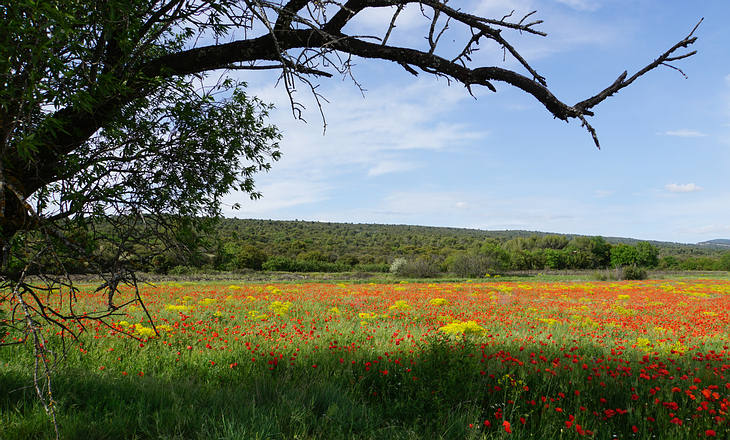 Luberon: Impressionen von Farben