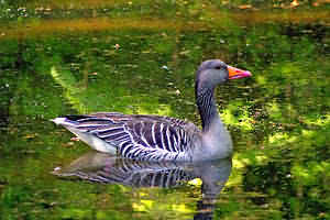 Tierpark Hellabrunn