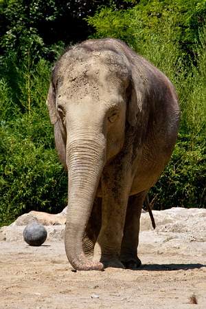 Tierpark Hellabrunn