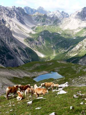 Tiroler Bergwelt