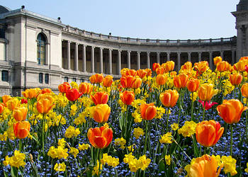 Brüssel, Kollonaden am Jubelpark