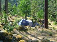 Uriger Zeltplatz in der Restonica Schlucht, ca. 3-4 km von Corte entfernt