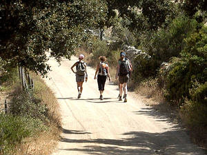 Wanderungen durch Korsika