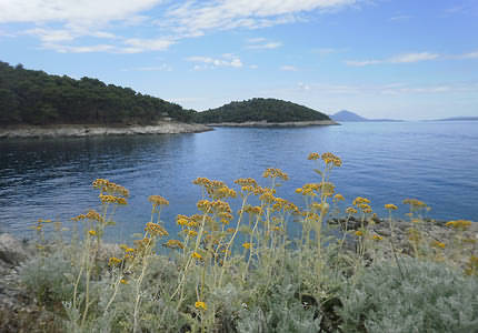 Unterwegs zwischen Mali Losinj und Veli Losinj