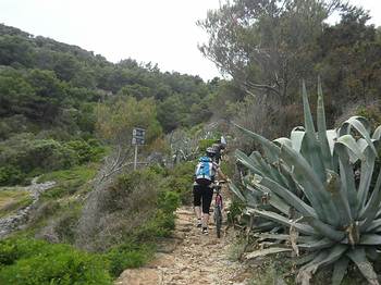 Fahrrad- und Wanderwege rund um Mali und Veli Losinj