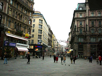 Eine grosse Einkaufsstrasse in Wien ist die Kärntnerstrasse. Sie zieht sich vom Stephansplatz bis zum Opernring